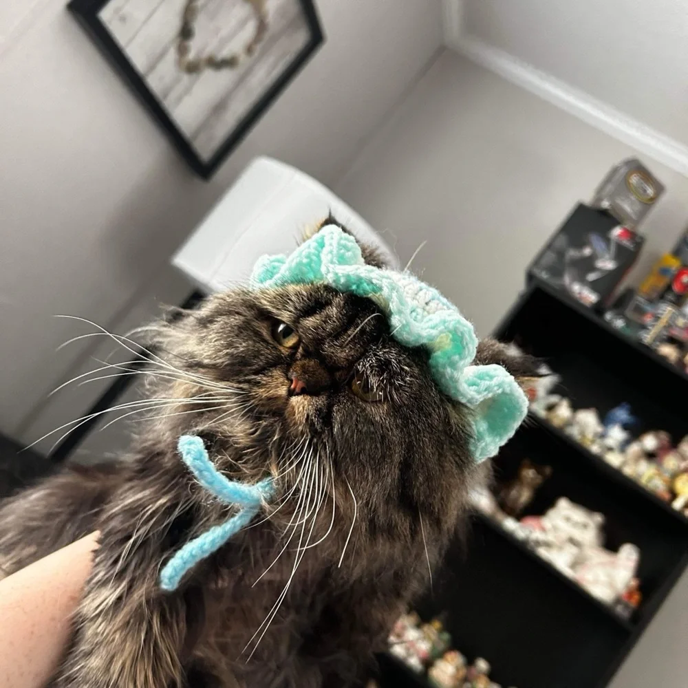 HANDMADE cat bonet bucket hat for cats cat accessories